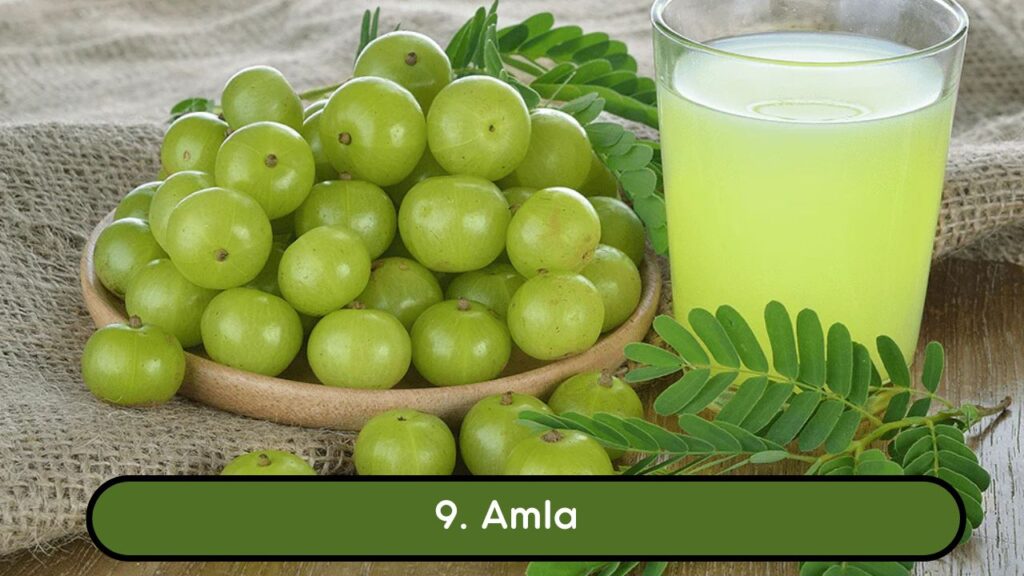 12 Natural Ayurvedic Remedies for Asthma