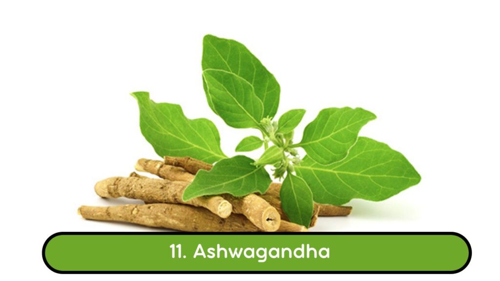 12 Natural Ayurvedic Remedies for Asthma