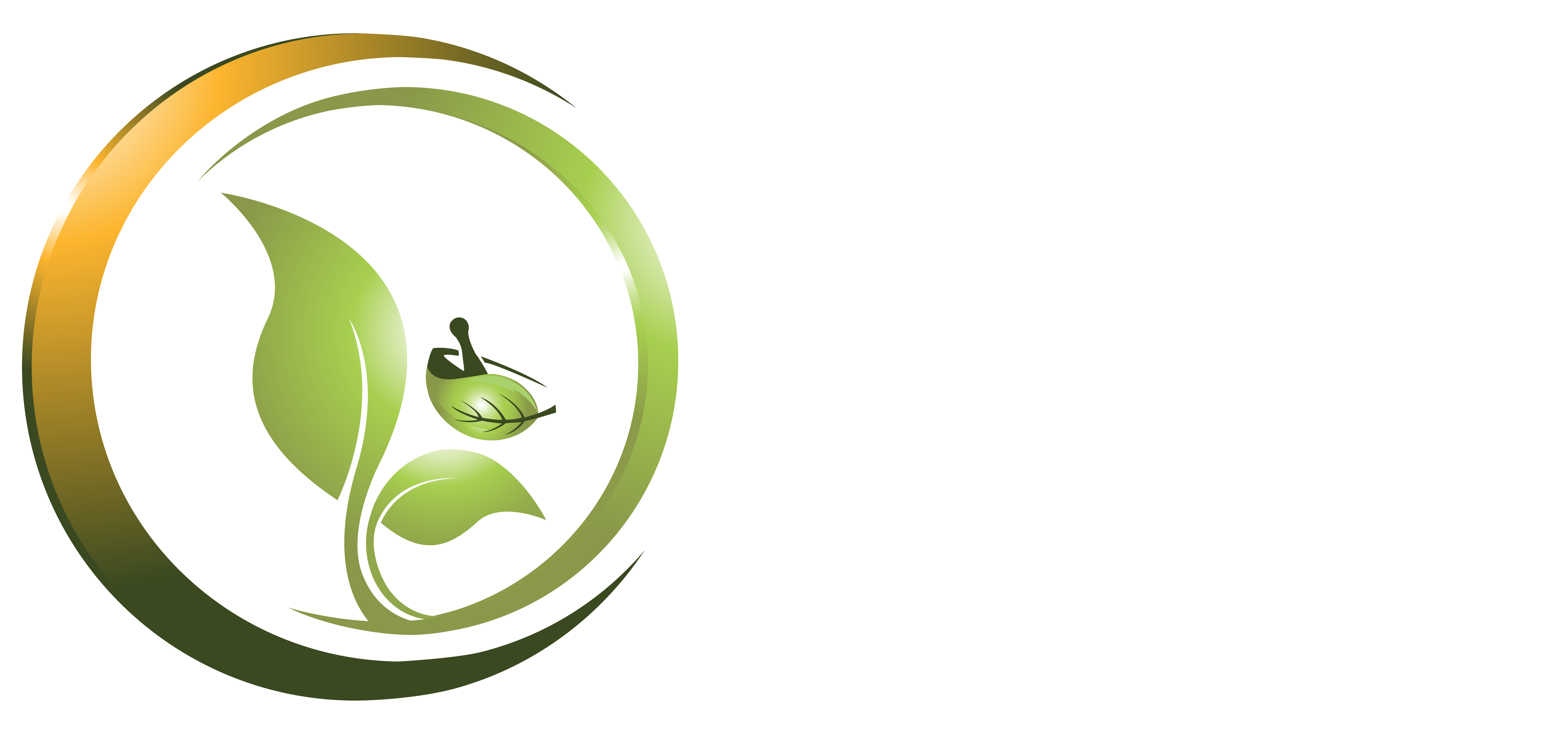 Divyamrut Ayurcare Logo